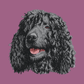 Irish Water Spaniel Embroidered Classic Long Sleeve Shirt