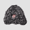 Puli Embroidered Sweatshirt Hoodie