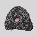 Puli Embroidered Mock Neck Sweatshirt