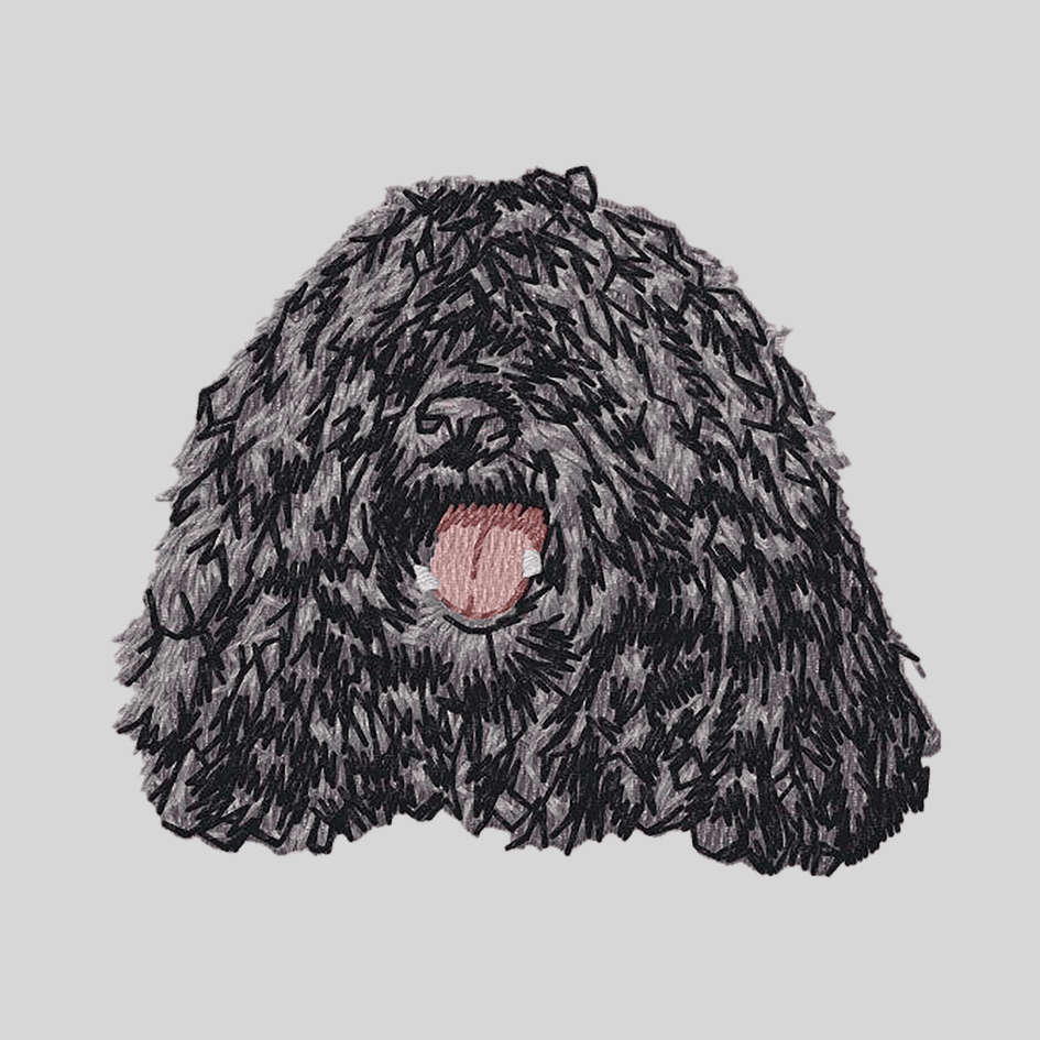 Puli Embroidered Mock Neck Sweatshirt