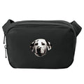 Dalmatian Embroidered Crossbody Bag