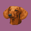 Dachshund Embroidered Classic Long Sleeve Shirt