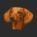 Dachshund Embroidered Classic Long Sleeve Shirt