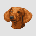 Dachshund Embroidered Classic Long Sleeve Shirt