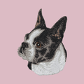 Boston Terrier Embroidered Baseball Cap
