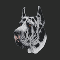 Great Dane Embroidered Classic Long Sleeve Shirt