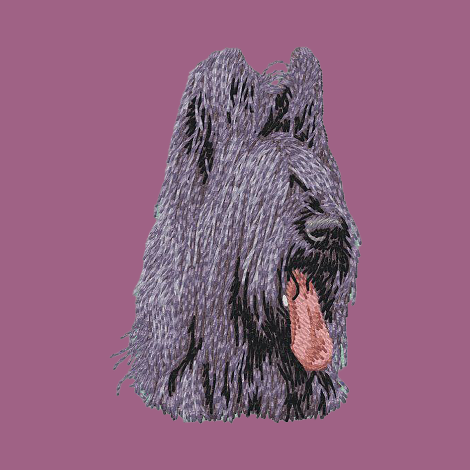 Briard Embroidered Classic Long Sleeve Shirt