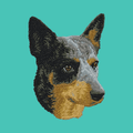 Australian Cattle Dog Embroidered Baseball Cap
