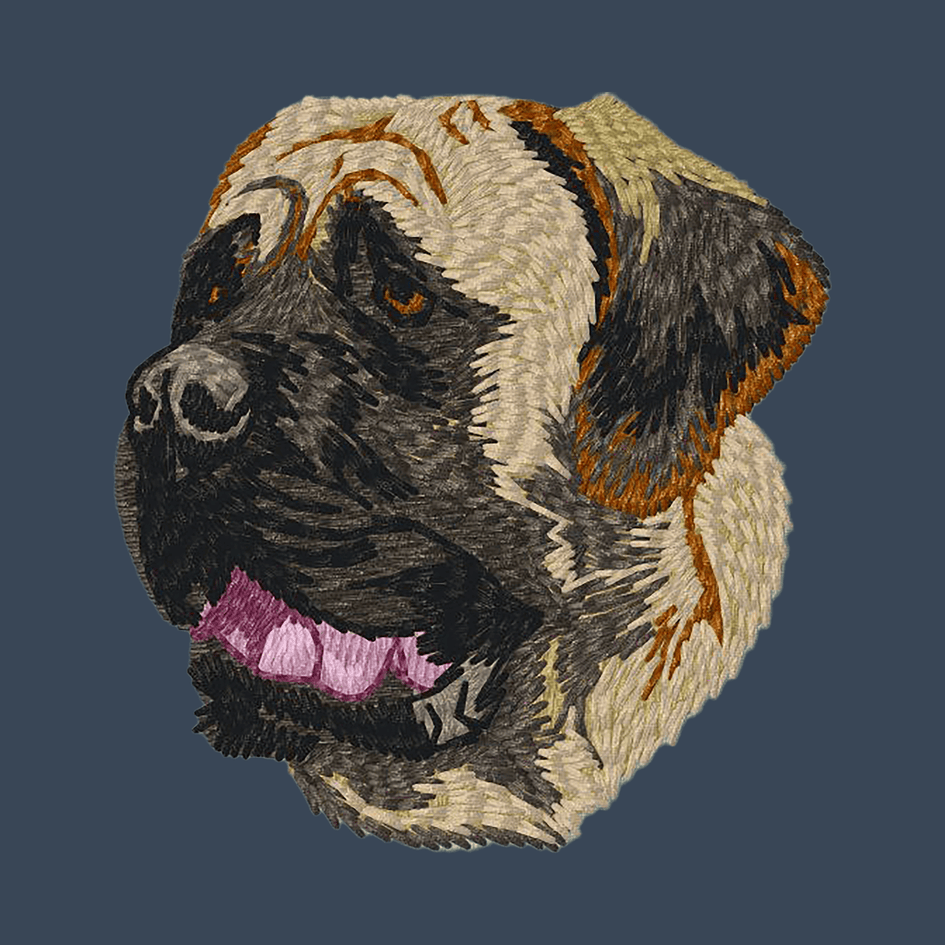 Mastiff Embroidered Women's Denim Shirt