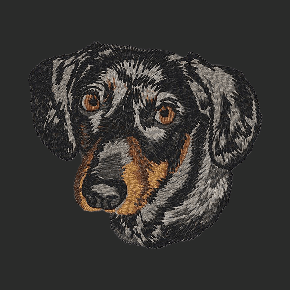 Dachshund Embroidered Classic Long Sleeve Shirt