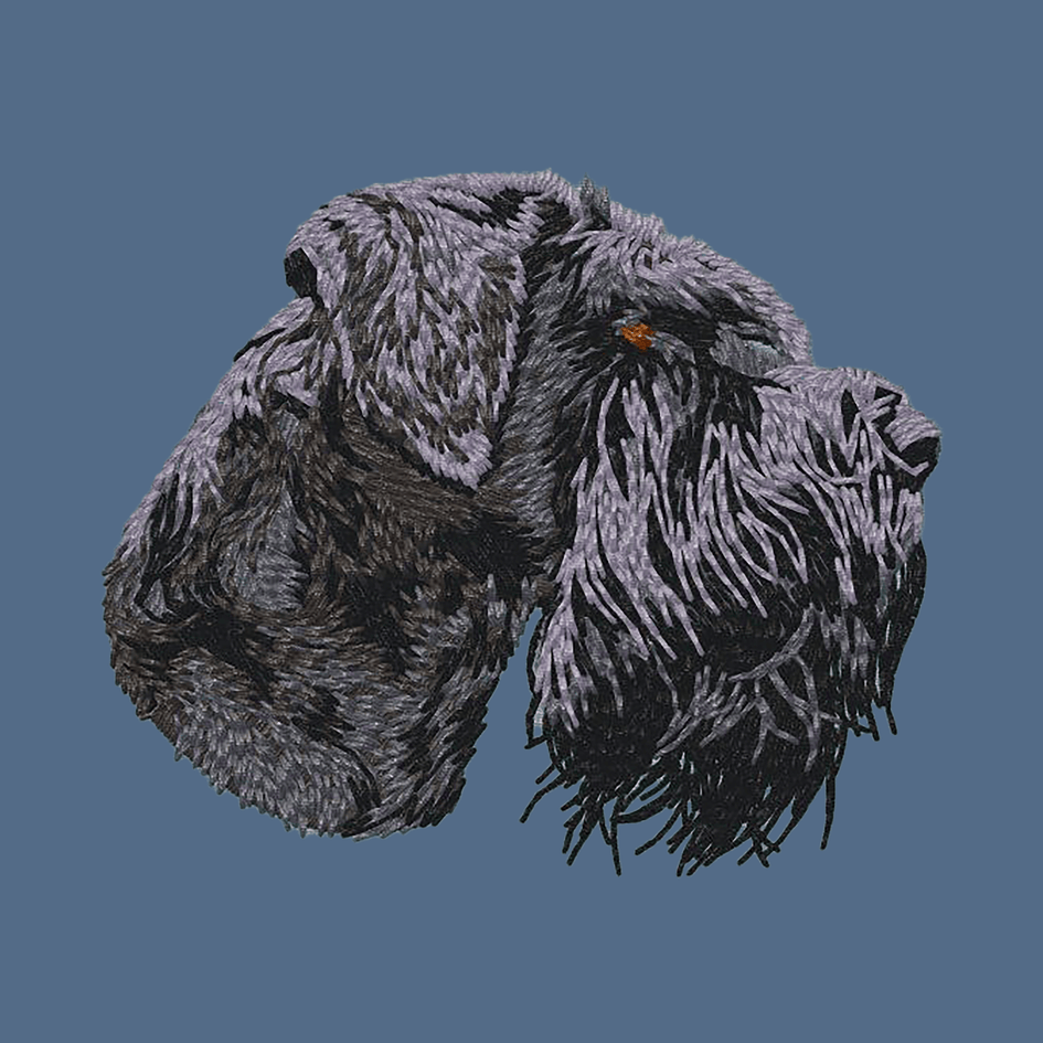 Giant Schnauzer Embroidered Women's Denim Shirt