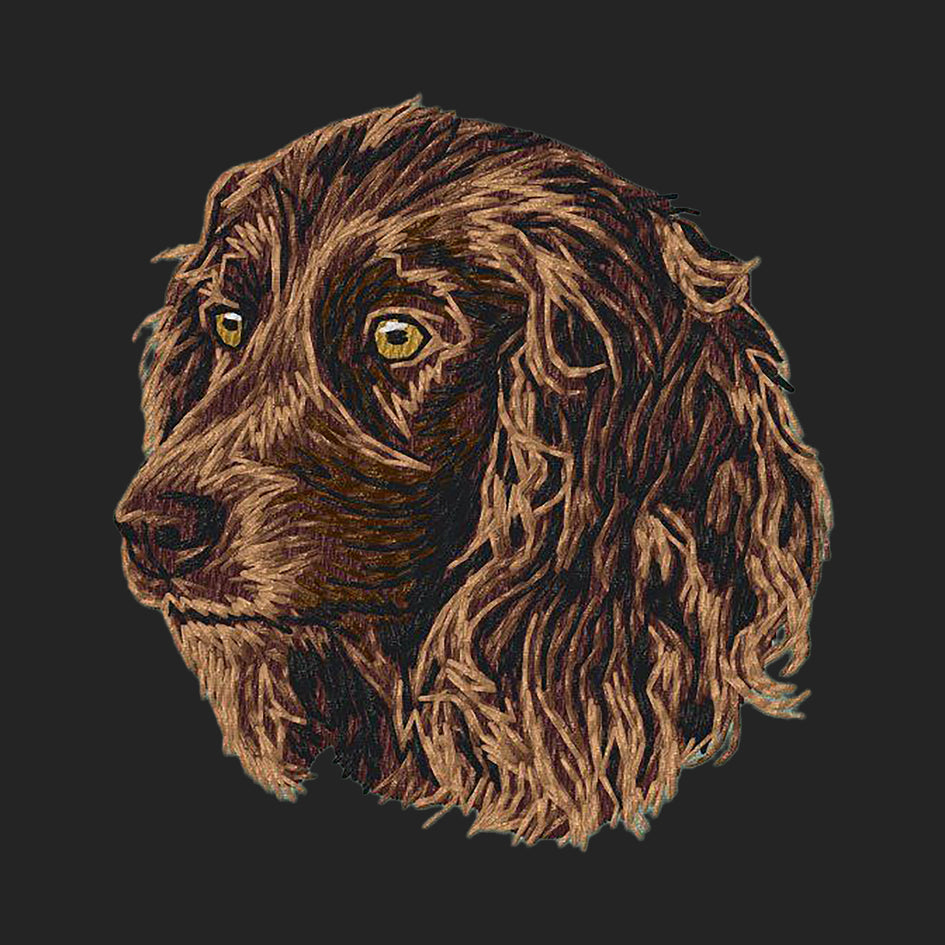 Boykin Spaniel Embroidered Sweatshirt Hoodie