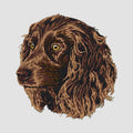 Boykin Spaniel Embroidered Sweatshirt Hoodie