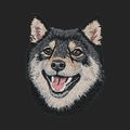 Shiba Inu Embroidered Sweatshirt Hoodie