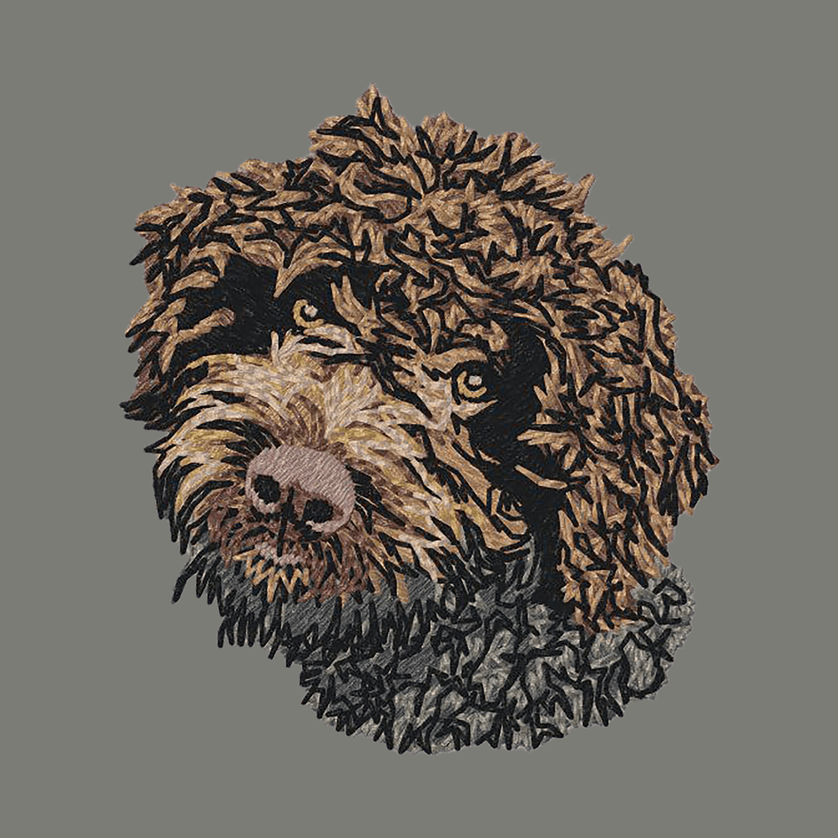 Lagotto Romagnolo Embroidered Wearable Blanket