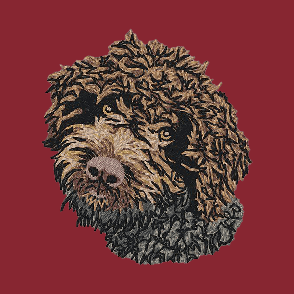 Lagotto Romagnolo Embroidered Wearable Blanket