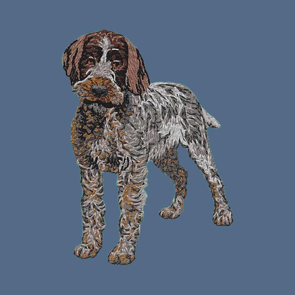 Wirehaired Pointing Griffon Embroidered Women's Denim Shirt