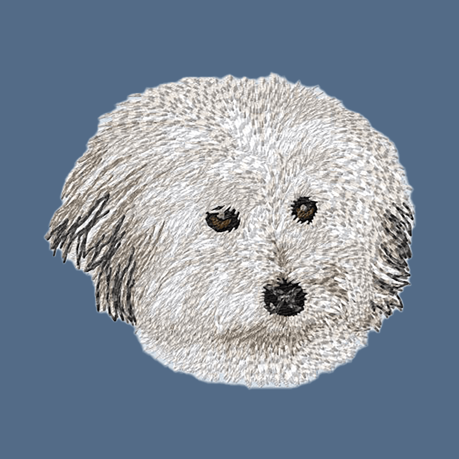 Coton de Tulear Embroidered Women's Denim Shirt