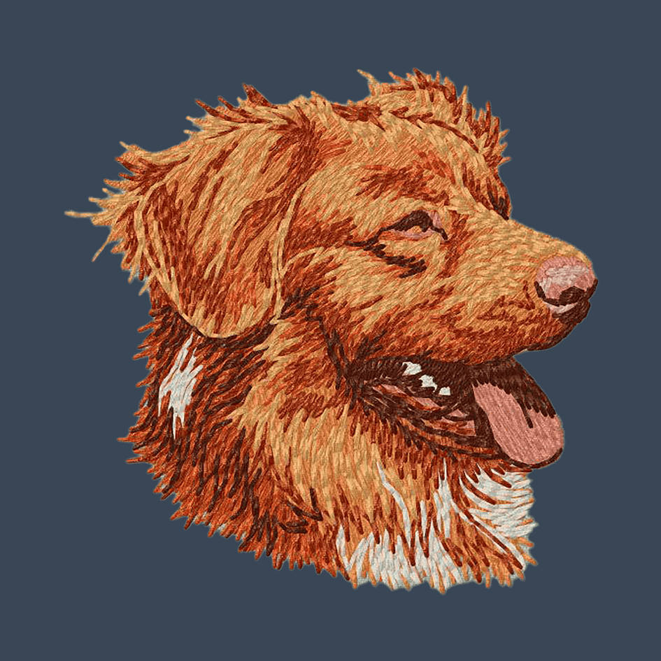 Nova Scotia Duck Tolling Retriever Embroidered Women's Denim Shirt