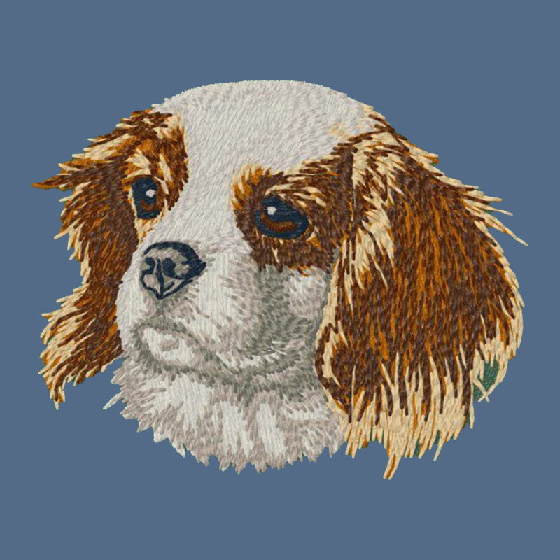 Cavalier King Charles Spaniel Embroidered Women's Denim Shirt