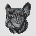 French Bulldog Embroidered Sweatshirt Hoodie