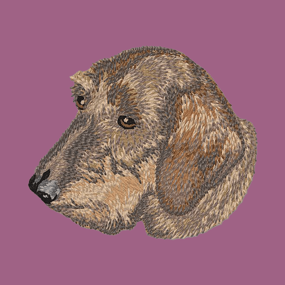 Dachshund Embroidered Classic Long Sleeve Shirt