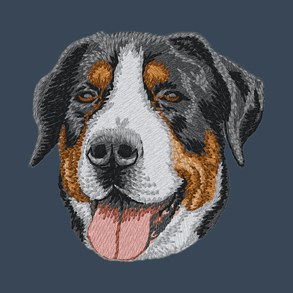 Greater Swiss Mountain Dog Embroidered Women's Denim Shirt