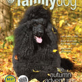 AKC Family Dog Magazine Single Issue (Digital)