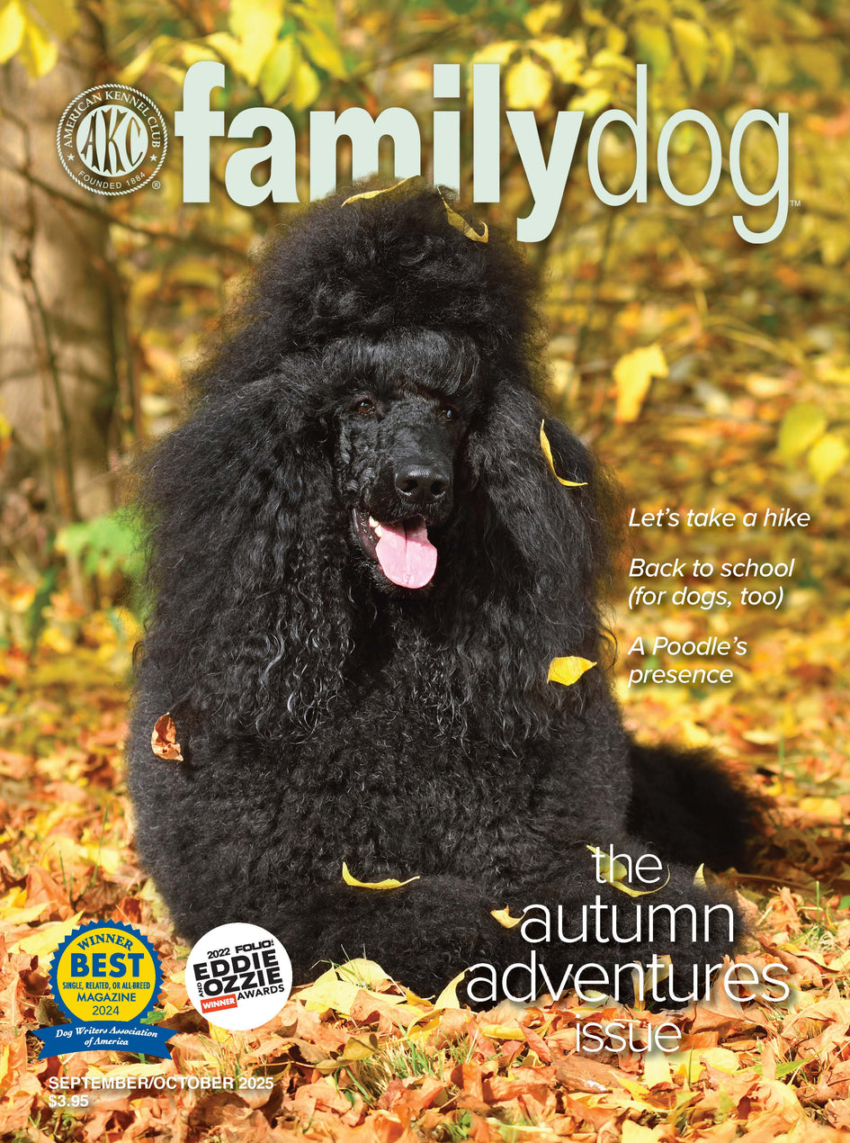 AKC Family Dog Magazine Single Issue (Digital)