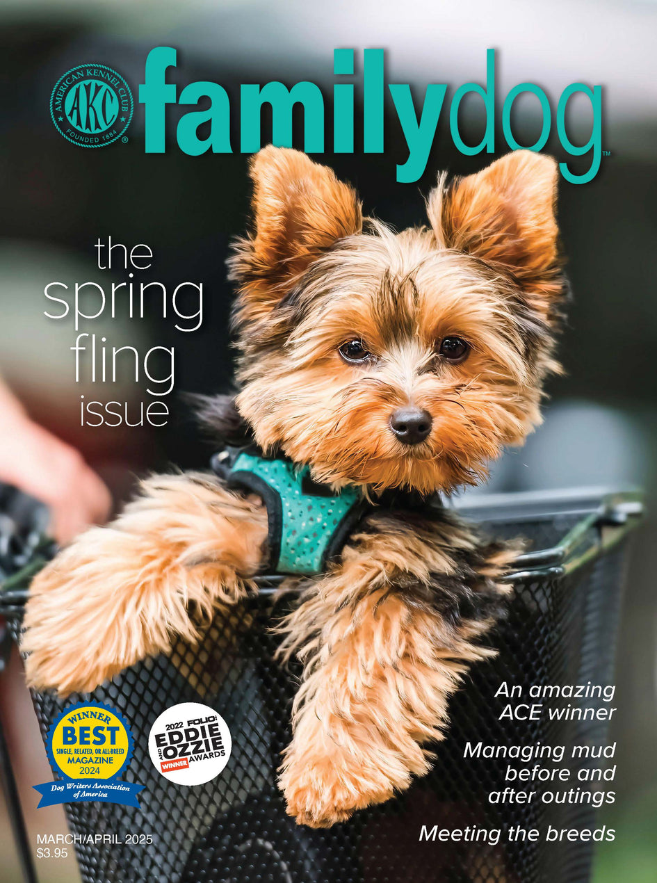 AKC Family Dog Magazine Single Issue (Digital)