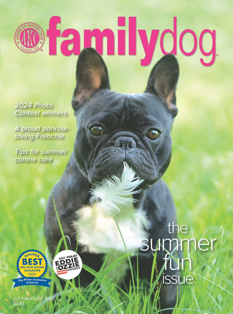 AKC Family Dog Magazine Single Issue (Digital)