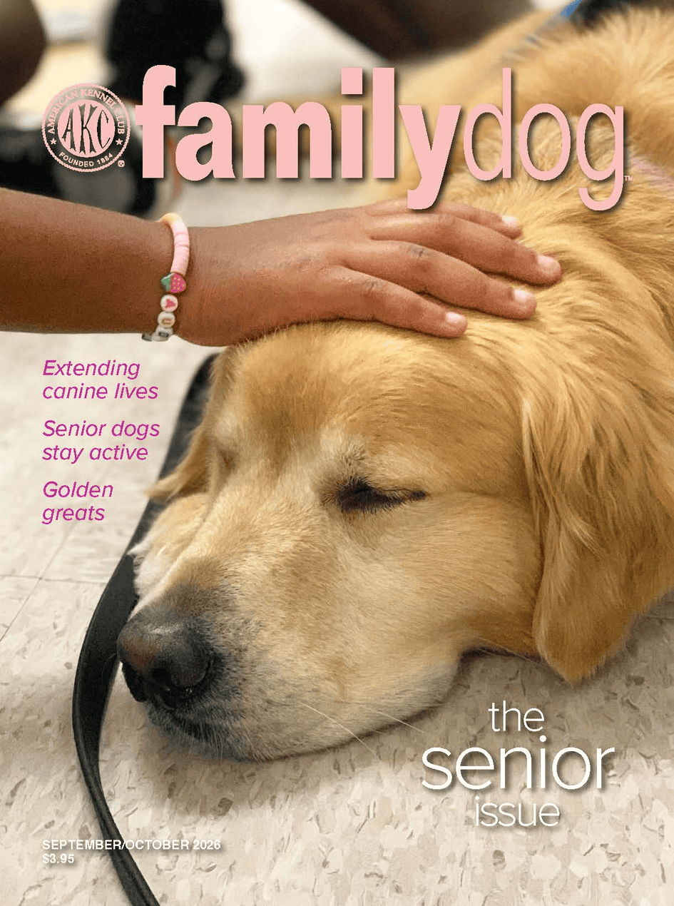 AKC Family Dog Magazine Single Issue (Digital)