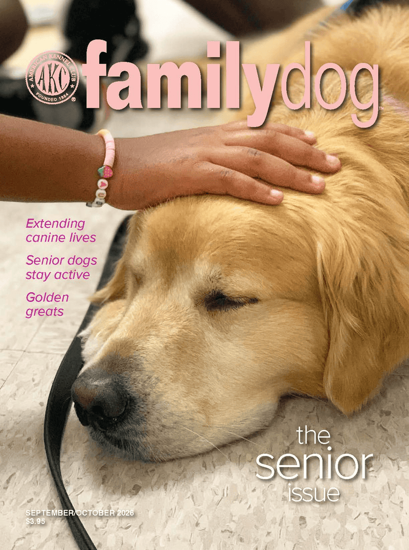 AKC Family Dog Magazine Single Issue (Digital)