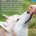 AKC GoodDog Helpline Video Training Consultations Bundle