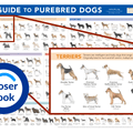 AKC Breeds Poster