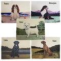 Tibetan Mastiff Placemats