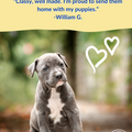 (5 per Pack) Puppy Information Folder