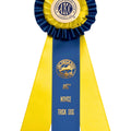 Trick Dog Novice Rosette