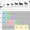 Snoozer® Console Lookout® Dog Car Seat
