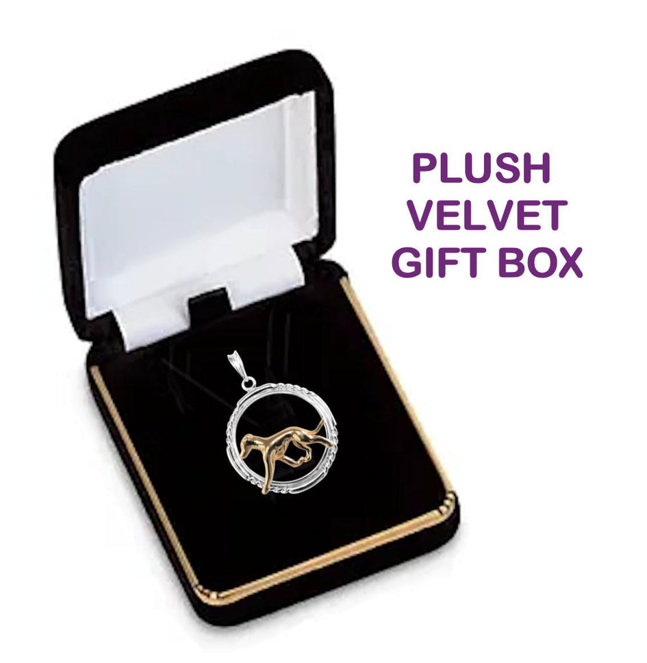 Whippet in 14K Gold with Sterling Silver Braided Circle Pendant