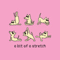 Bit of a Stretch - T-Shirt Ladies V-Neck