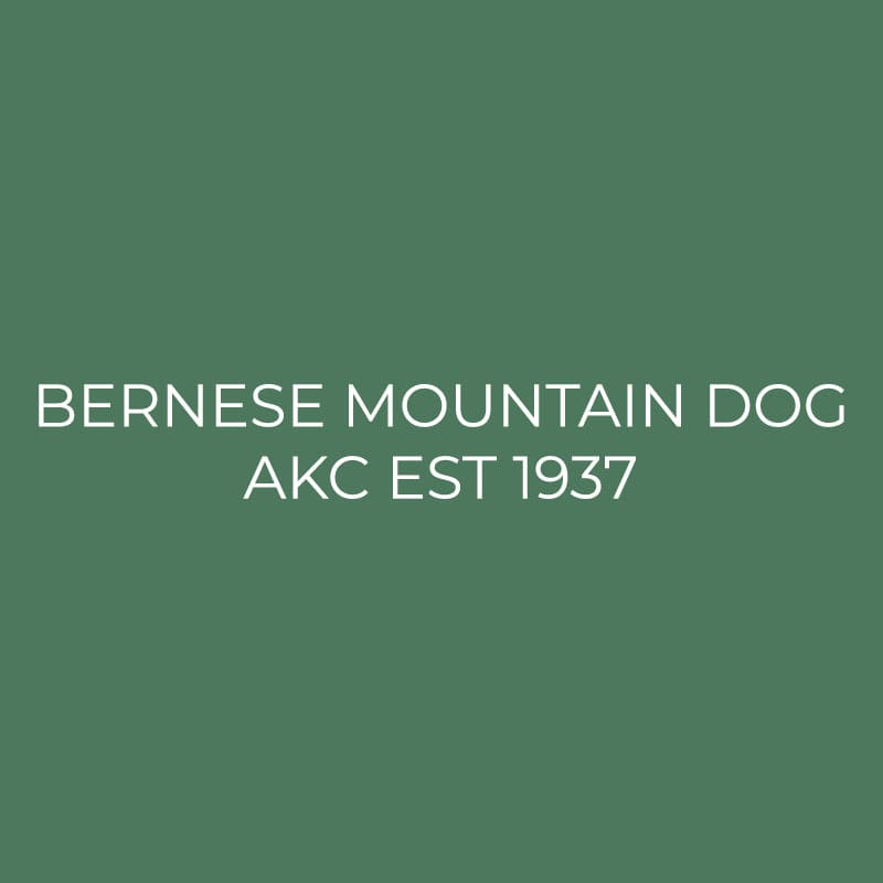 Bernese Mountain Dog Embroidered AKC Quarter Zip