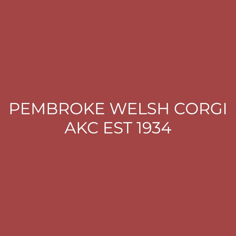 Pembroke Welsh Corgi Embroidered AKC Quarter Zip