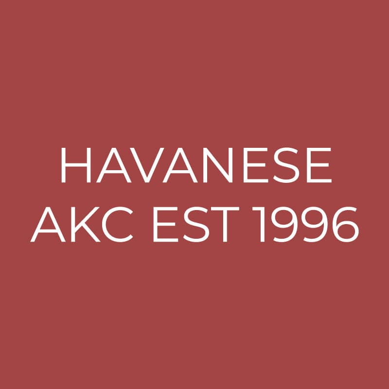 Havanese Embroidered AKC Quarter Zip