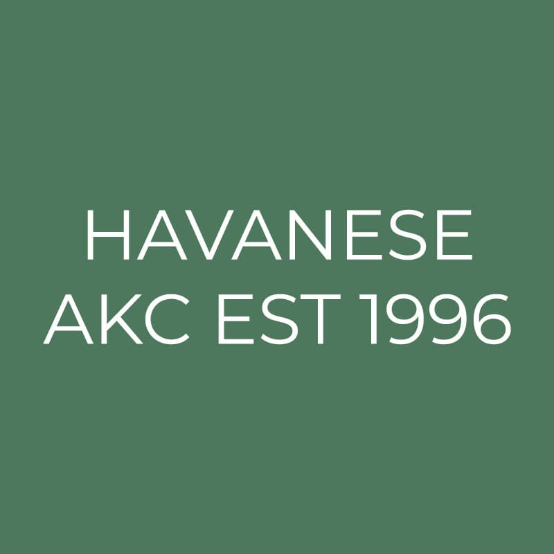 Havanese Embroidered AKC Quarter Zip