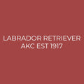 Labrador Retriever Embroidered AKC Quarter Zip