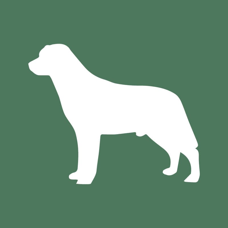 Labrador Retriever Embroidered AKC Quarter Zip