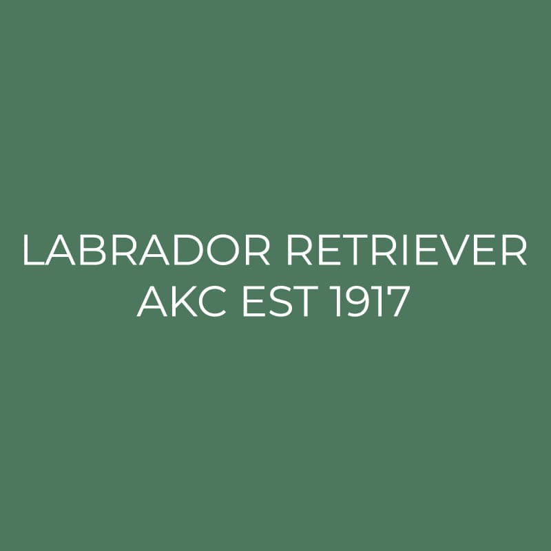 Labrador Retriever Embroidered AKC Quarter Zip