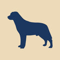 Labrador Retriever Embroidered AKC Quarter Zip