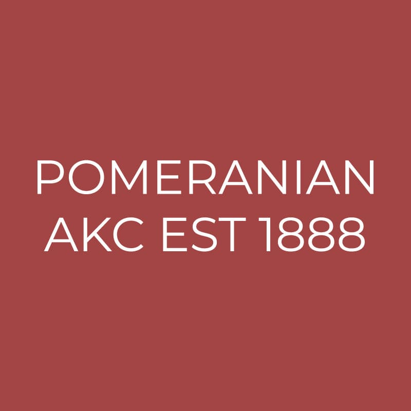 Pomeranian Embroidered AKC Quarter Zip
